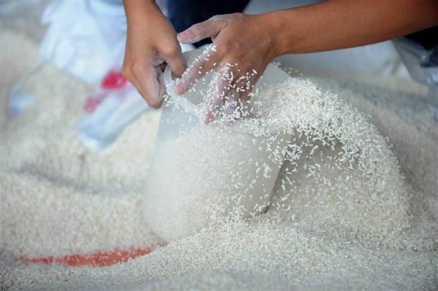 Tổng thống Indonesia chỉ đạo nhập khẩu 1 triệu tấn gạo từ Trung Quốc